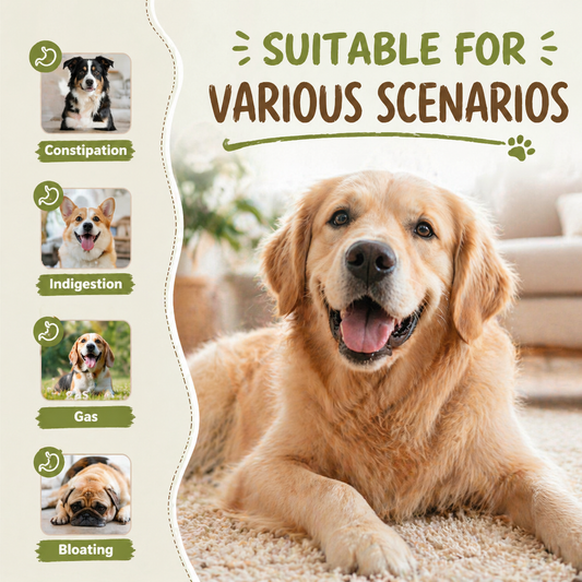Jagy Natural Probiotic Chews for Dogs