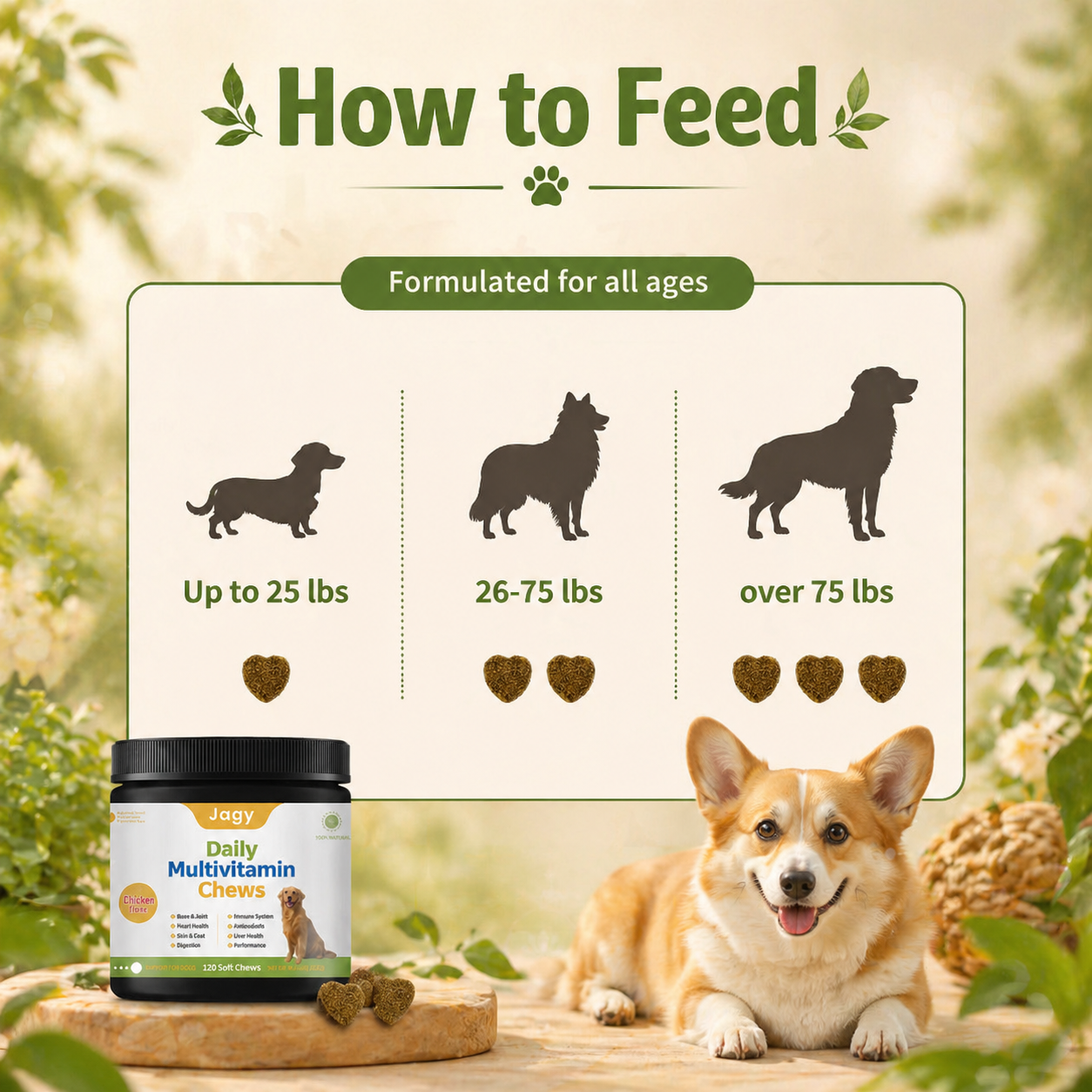Jagy Wellness Bundle - Probiotic + Multivitamin Soft Chews for Dogs