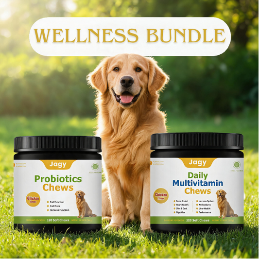 Jagy Wellness Bundle - Probiotic + Multivitamin Soft Chews for Dogs