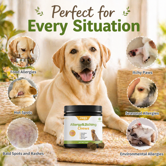 Jagy Allergy Relief Bundle for Dogs