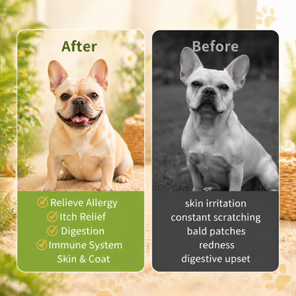 Jagy Everyday Wellness Bundle for Dogs