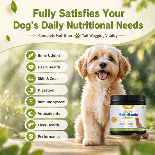 Jagy Daily Health Chews for Dogs