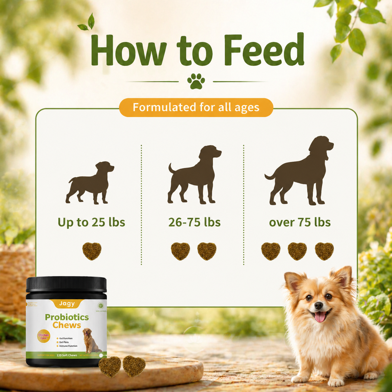 Jagy Natural Probiotic Chews for Dogs