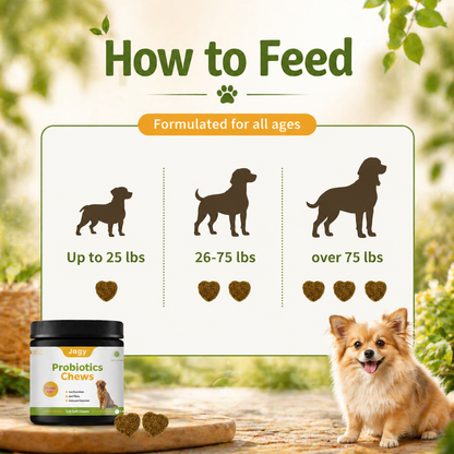 Jagy Natural Probiotic Chews for Dogs