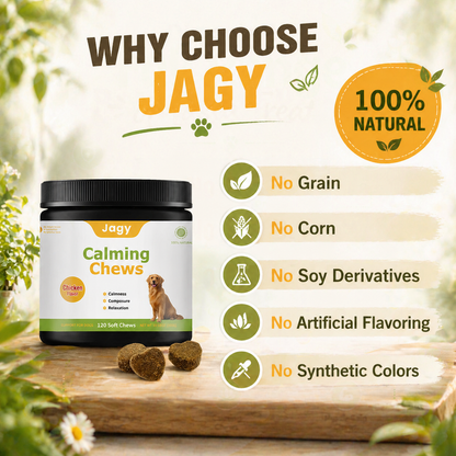 Jagy Relax Chews for Dogs