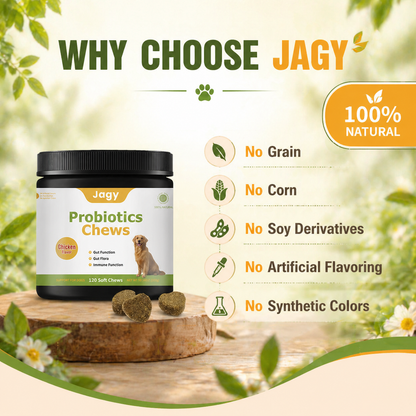 Jagy Natural Probiotic Chews for Dogs