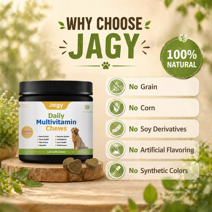 Jagy Everyday Wellness Bundle for Dogs