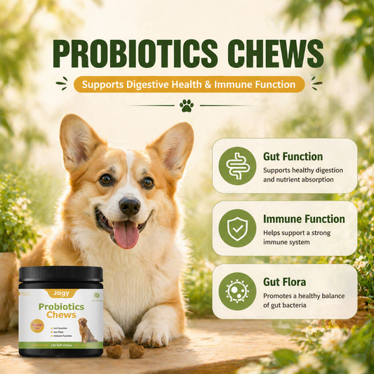 Jagy Wellness Bundle - Probiotic + Multivitamin Soft Chews for Dogs
