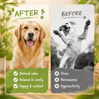 Jagy Relax Chews for Dogs